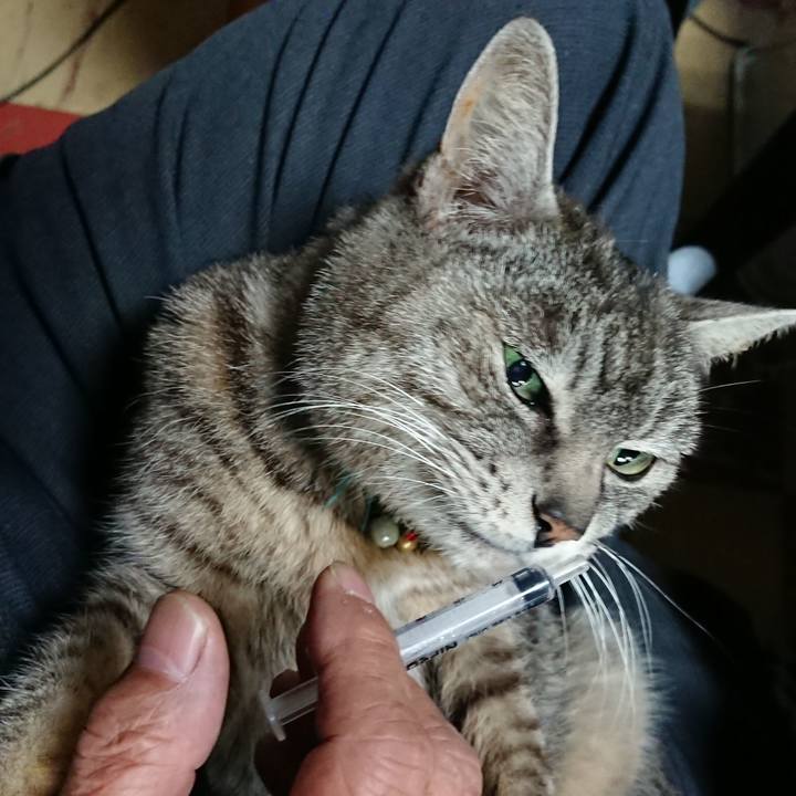 5a011ab2 7c90 4232 b68c d064c6c67513 1554847106551