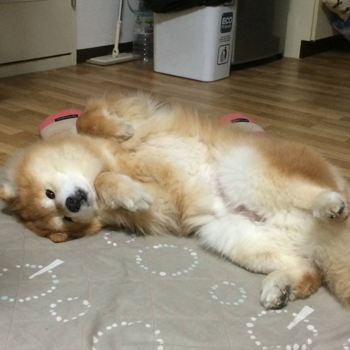 5a011bb1 71db 4ae0 82d4 b83fbe0647fb 1556237834230