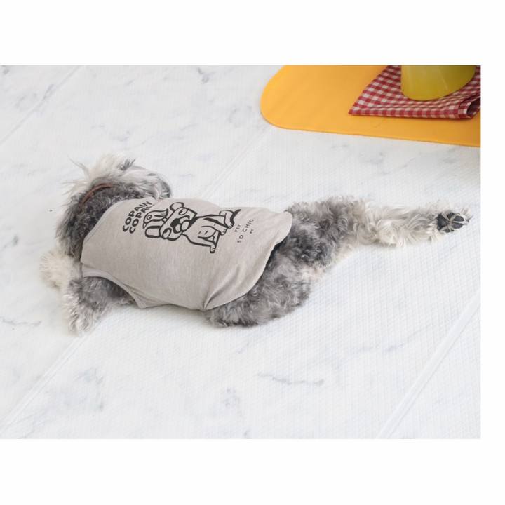 5a01522c b769 4c02 8e07 f53bac0ce3e7 1774167269661