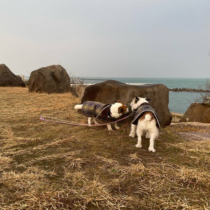 5a015797 4dc0 48e0 8865 d9e3b9dedc46 1739747074562