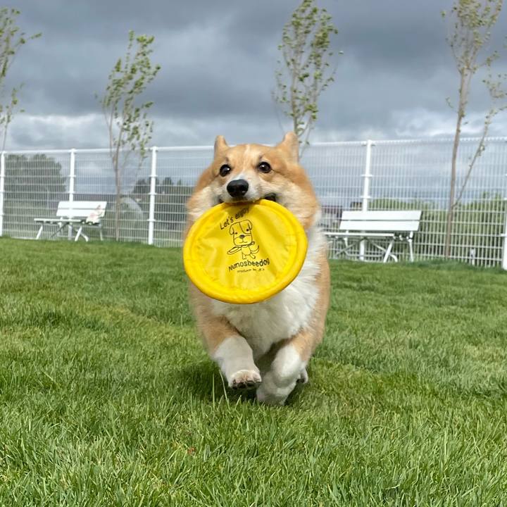 5a0159dd bac5 4101 89d4 1a58fc3ed1a6 1765371119658