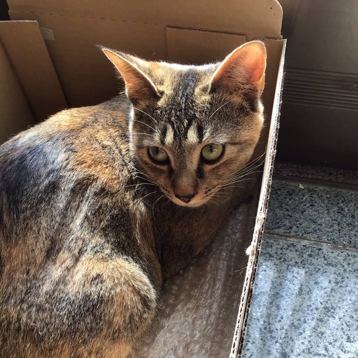 5a016916 a691 48c1 a887 7c1a98f22f84 1581212522138