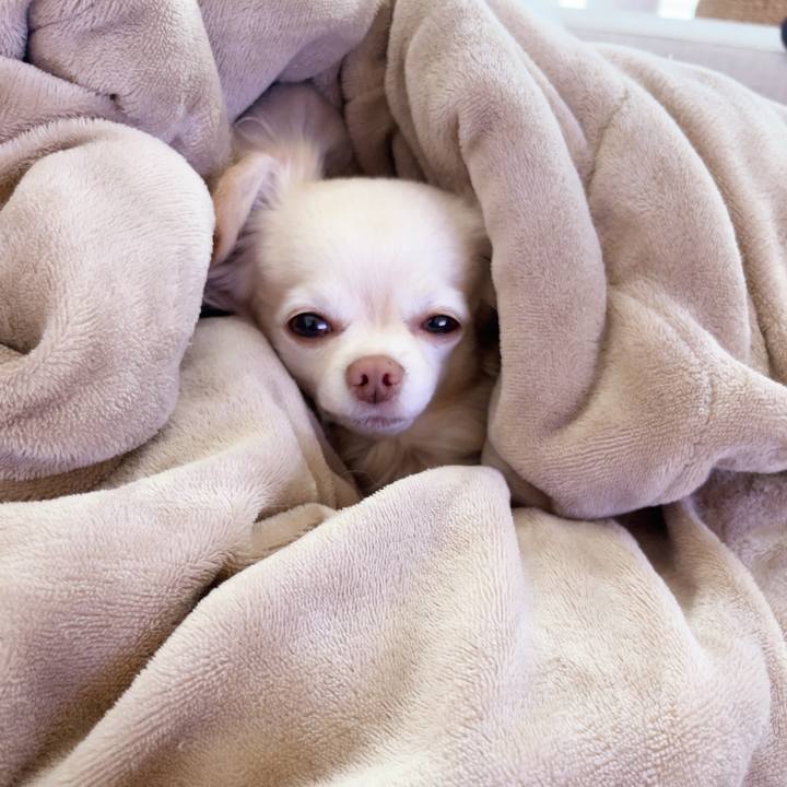 5a018f13 dff4 42a8 bb0d 88be99482a46 1741734158048