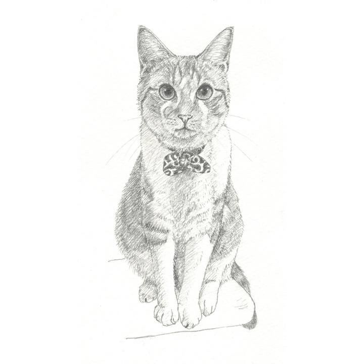 5a01e27c a4a2 42c0 9b84 3cab980eafe0 1543066363750