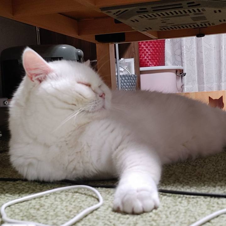 5a01e2cb de1c 4092 b23e 2477cc684e01 1666789526235