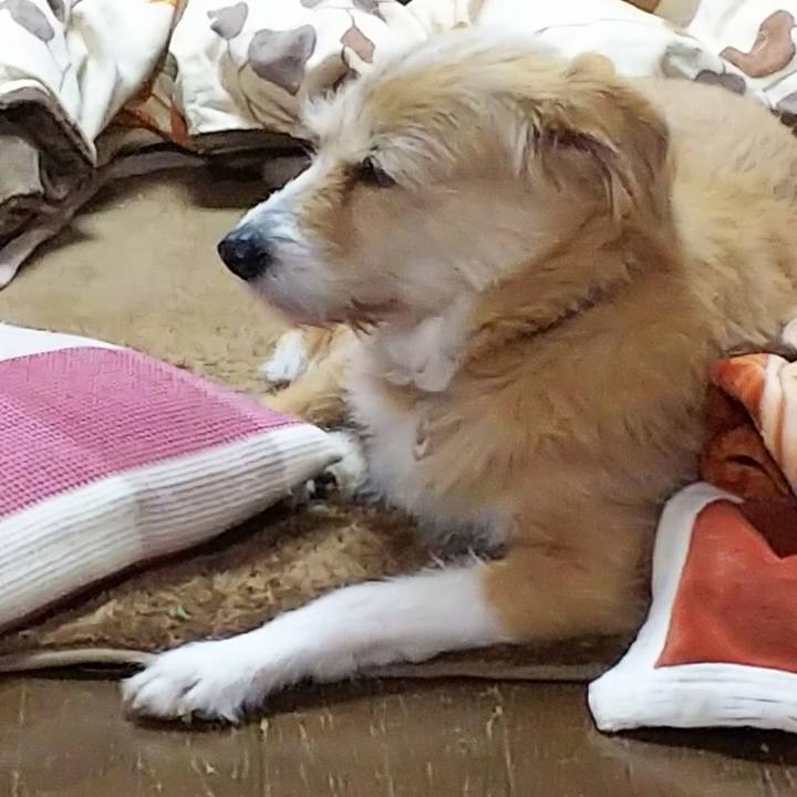 5a022181 77c5 4955 a0e5 bc4c9291489c 1549100280806