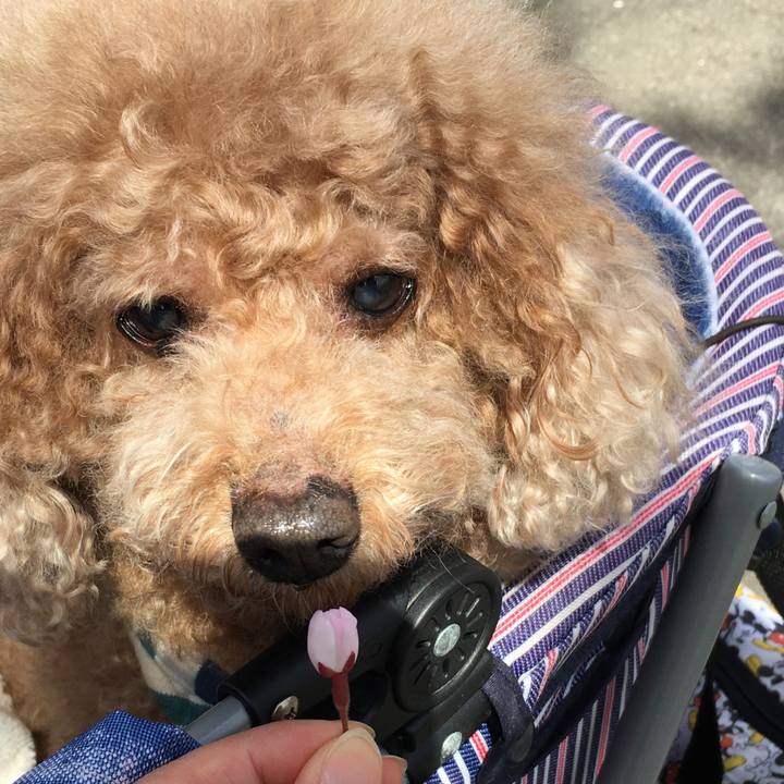 5a023570 1144 4b04 bf4c 359f17e16b0f 1525691087475