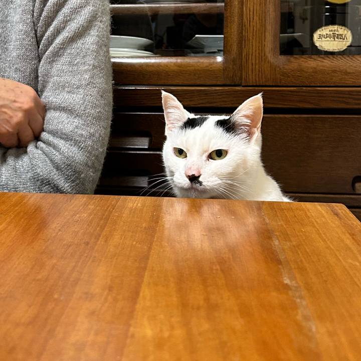 5a024bca 3c16 47c7 9767 36233665008f 1771462868741