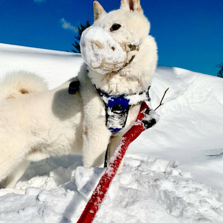 5a026126 75ab 4d88 b8e2 31536da5a89e 1644466203735