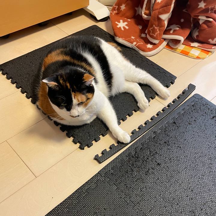 5a028963 66ea 4a11 9ea1 ba4465acc8d1 1744285734739