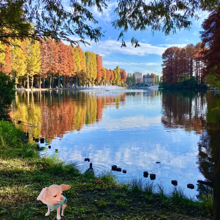 5a02a34f 88b8 4b1a 8ab2 b1251ffea594 1636969404405