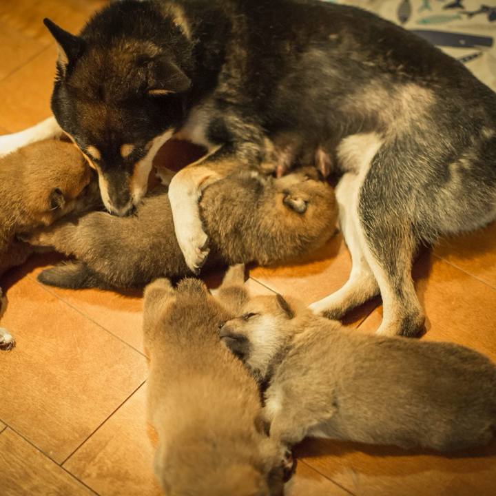 5a02f8a5 9801 4f1c b033 9282dec0f1c6 1753702375258