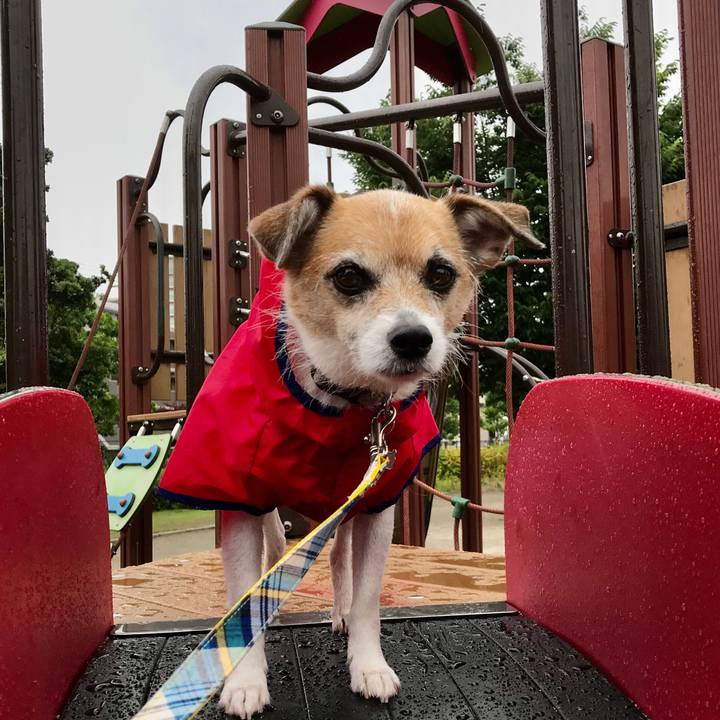 5a030d6d 4f1b 4a36 be69 88835c164dc6 1591862705461