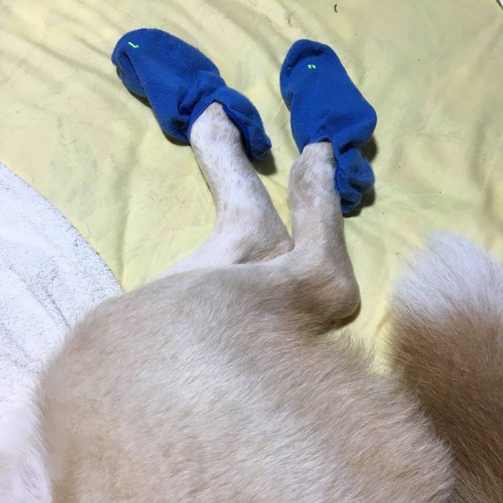 5a032c6a 6b8d 4a8c 894f 504105ab22a5 1528808759877