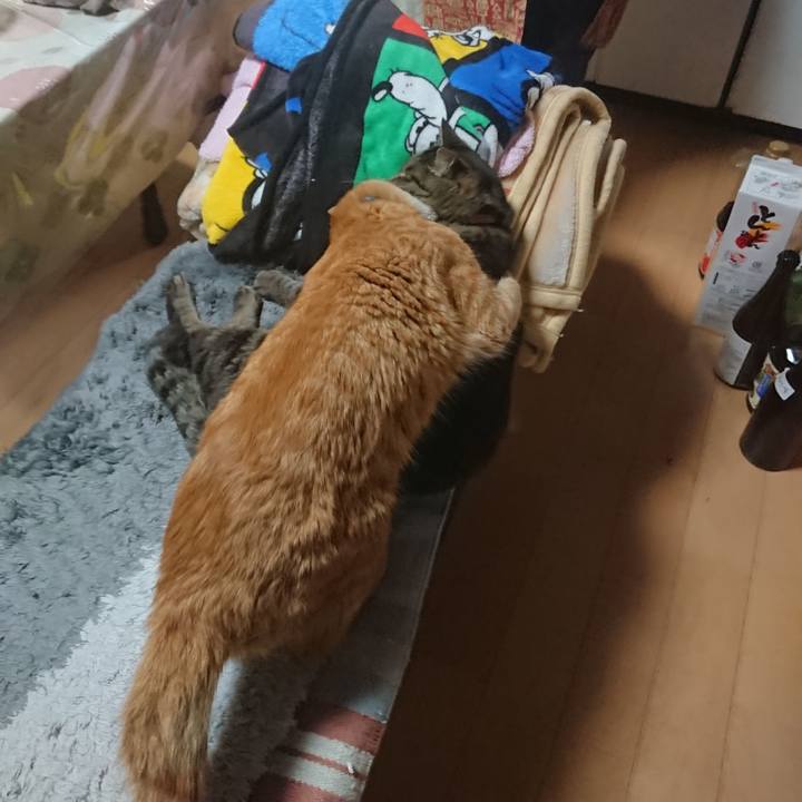 5a03571b 9339 405e bf48 c483004ccdac 1652574114605