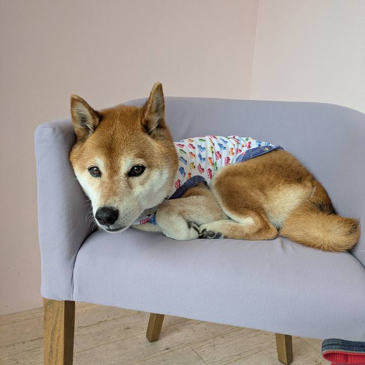 5a035e2f 59d9 4aff ae23 8543bc74042d 1745412810997