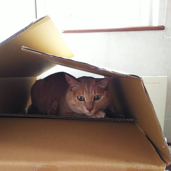 5a038bd4 46b6 4645 9bc9 538a5f944d55 1624154357995