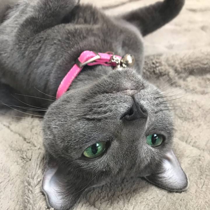 5a039476 4d0c 4038 ba80 2111087c0a12 1555331332669