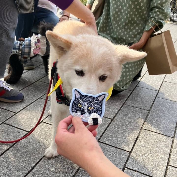 5a0394c0 0ceb 47eb 96c5 a590de70c2ec 1699290099533