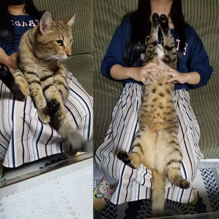 5a0436cb 7a5e 4fc0 ad65 c4c7cacf6ec2 1690546164057