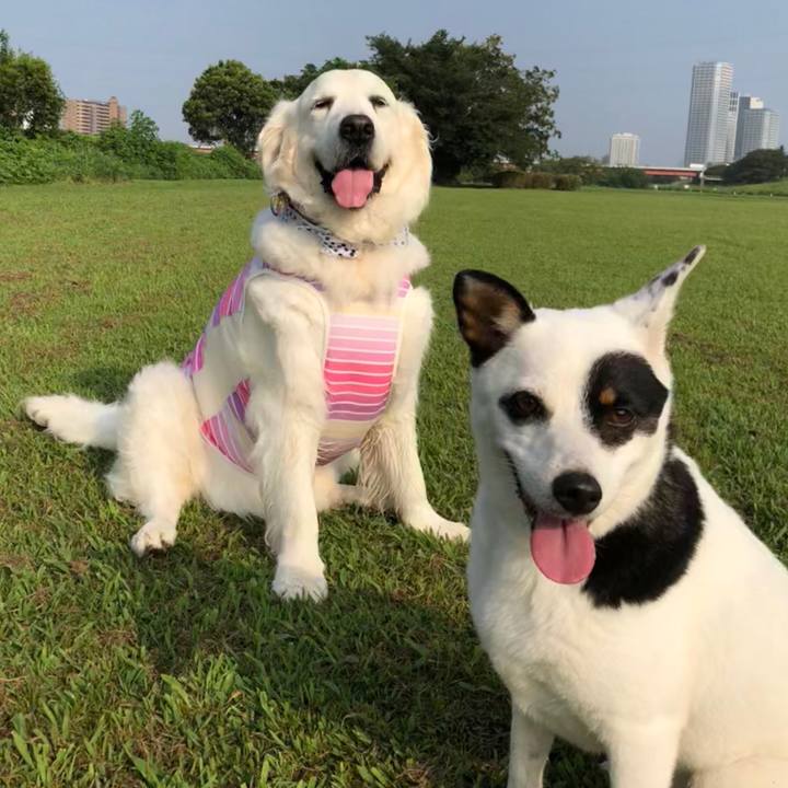 5a0446d6 893c 4a3b b218 1f75cdc0f59f 1533524679662