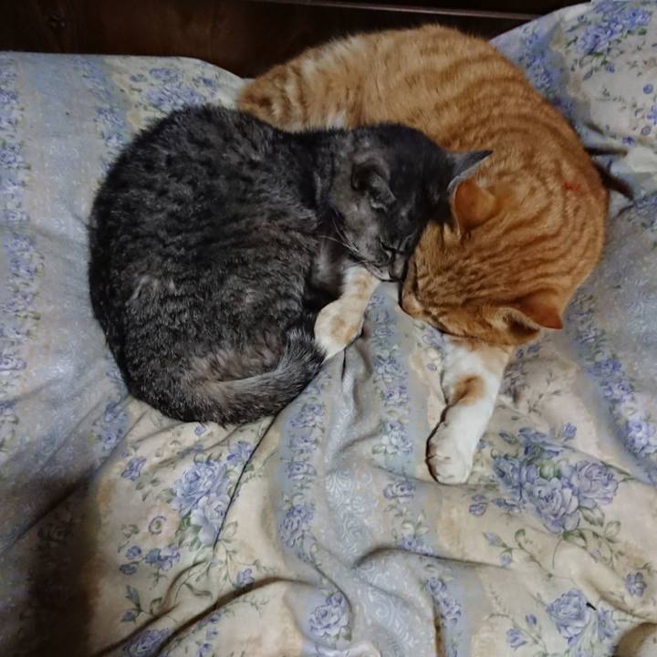 5a044d17 e2d6 4991 8033 7941f41d78ac 1579522325310