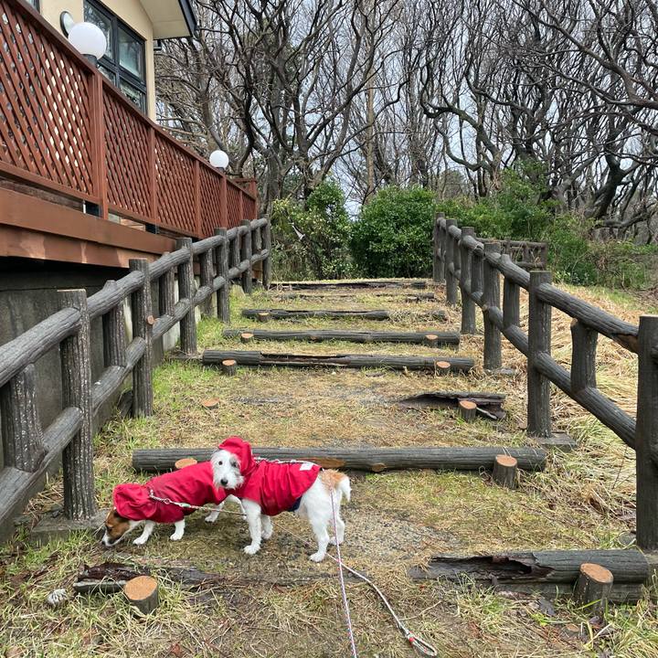 5a045440 07b0 4fbb 904e 2b8279585784 1644968176852