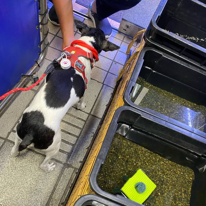 5a046434 39a0 4214 9aa5 3261acac9481 1626091920764