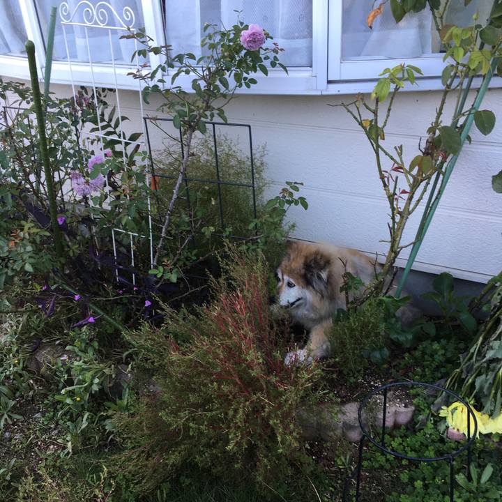 5a047c1d cc59 4607 88ec b68345ed6506 1553506796476