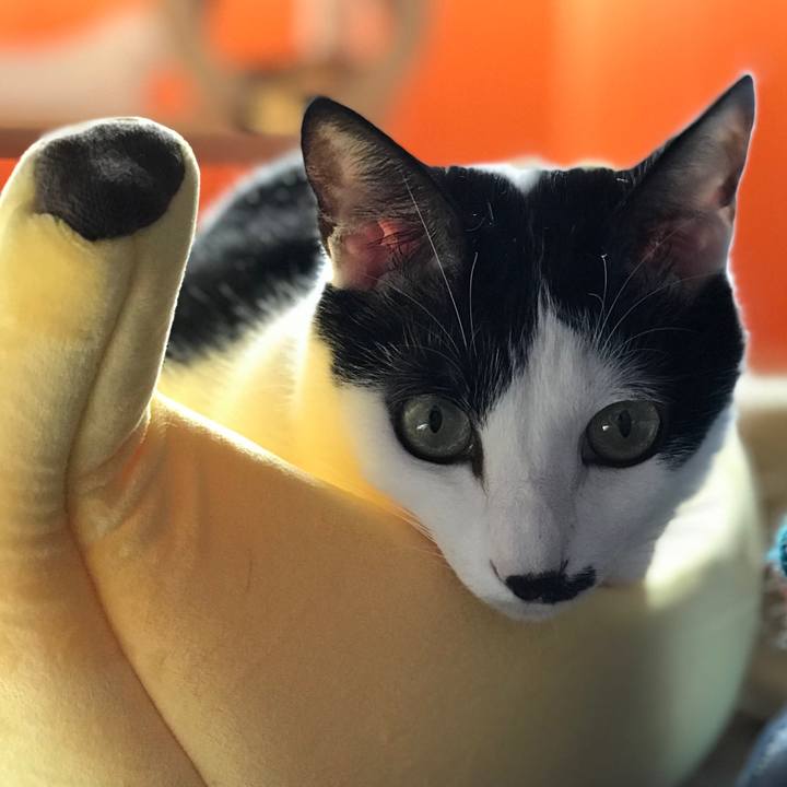 5a047cd2 471b 48e9 8f96 2ff92ffd3e54 1569377358664