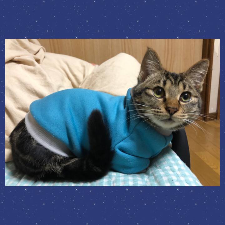 5a049347 4b04 4fe8 b3b2 426d71a738e1 1737114885840