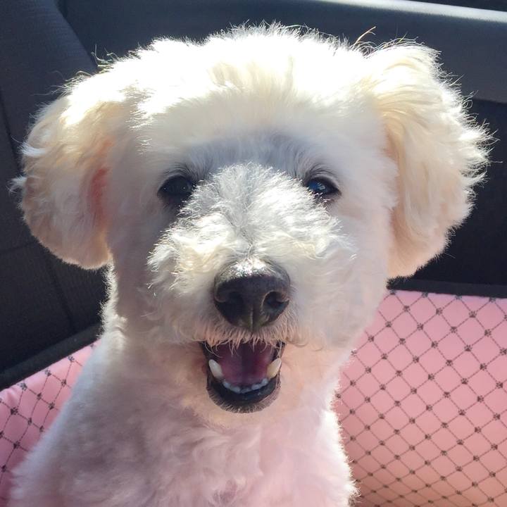 5a04dffd eebe 4662 bfbe 2f6d38c7dd05 1511225456585