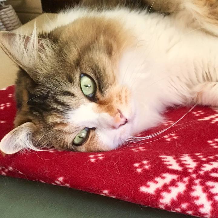 5a051aea 9592 4036 8ba7 69312c6627fc 1556574396764