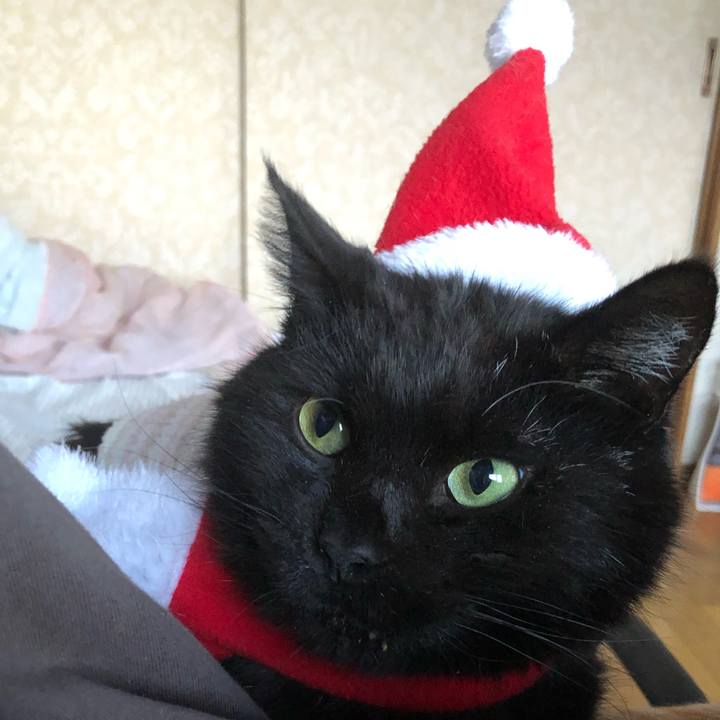 5a051d91 3160 4edc 9491 b33f3d68d3c1 1640415228783