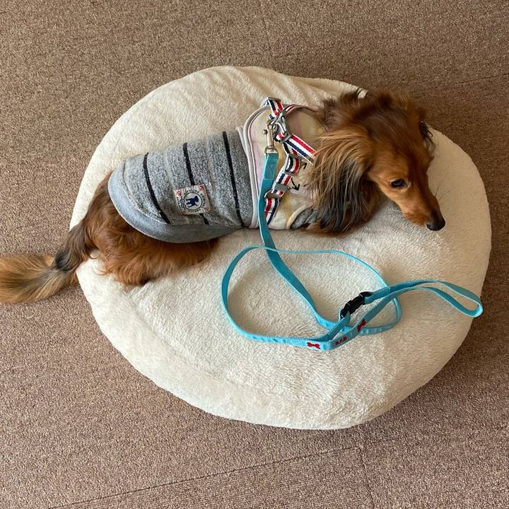 5a056582 1cf5 4f90 af96 8c990c835795 1643167909412