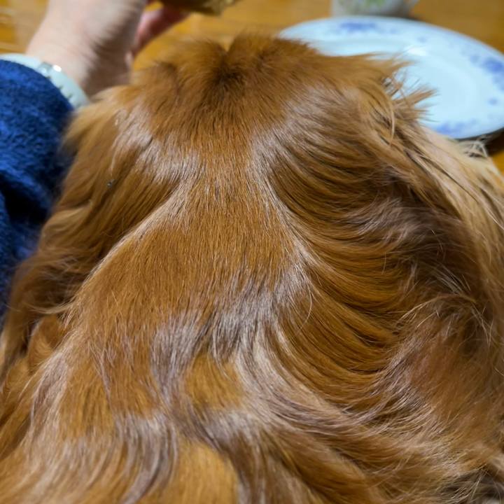 5a05713f a0eb 4490 9d6f 607eddea589a 1671057240437