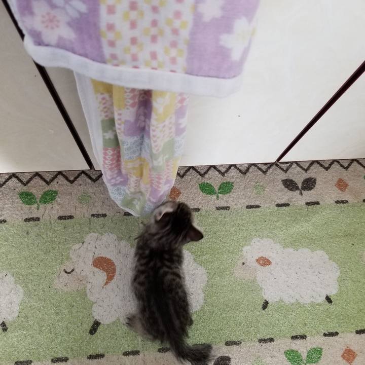 5a057402 9154 41dc a47d 329ba9bb468c 1661424848394