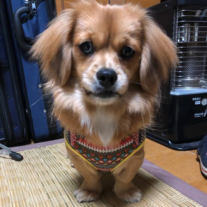 5a05a2ee 427e 44d6 b8da 79d56937b82e 1513091236399