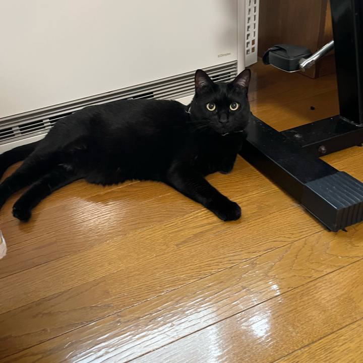 5a05a427 3716 45d6 b22b 81b896b817db 1701916280455