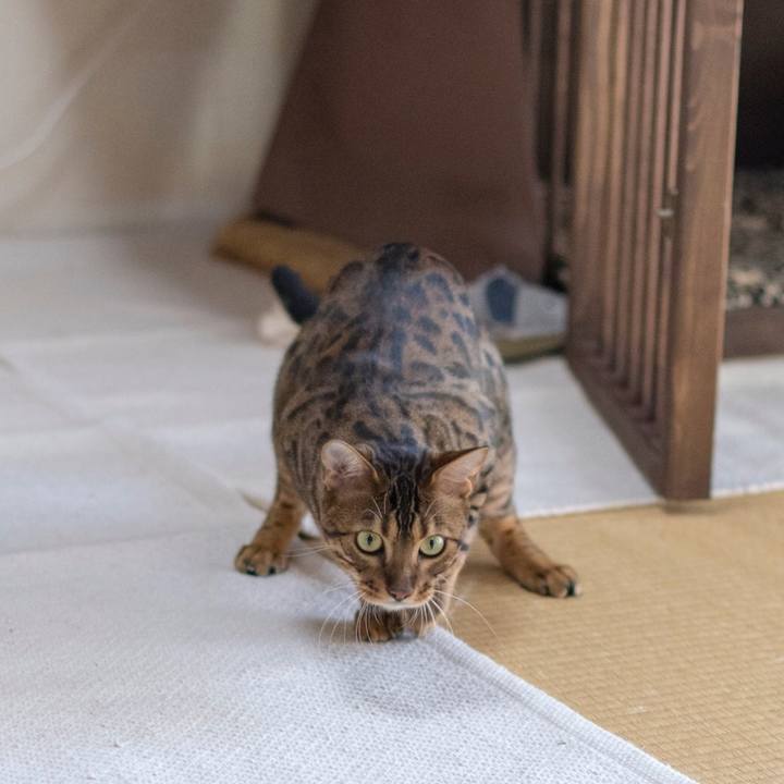 5a05ad6a 9b24 48b3 b0f6 8a018838f873 1521386841504