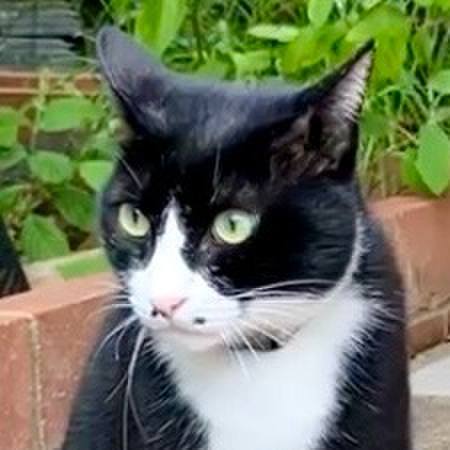 5a05b2c4 abbb 46b1 81b7 570b1fd93459 1727853403950