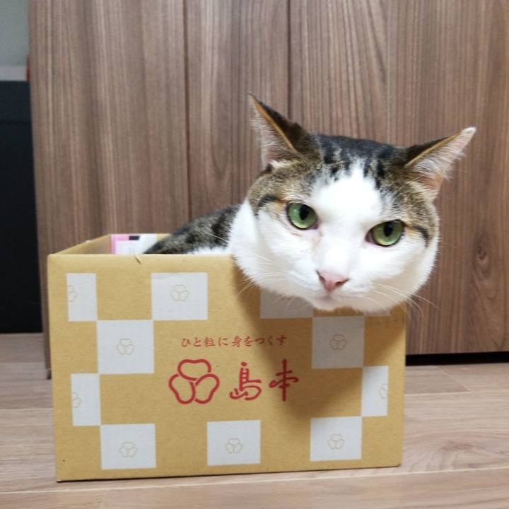 5a05bab8 f2e4 4fe4 83a7 2542a98a5940 1560114924399