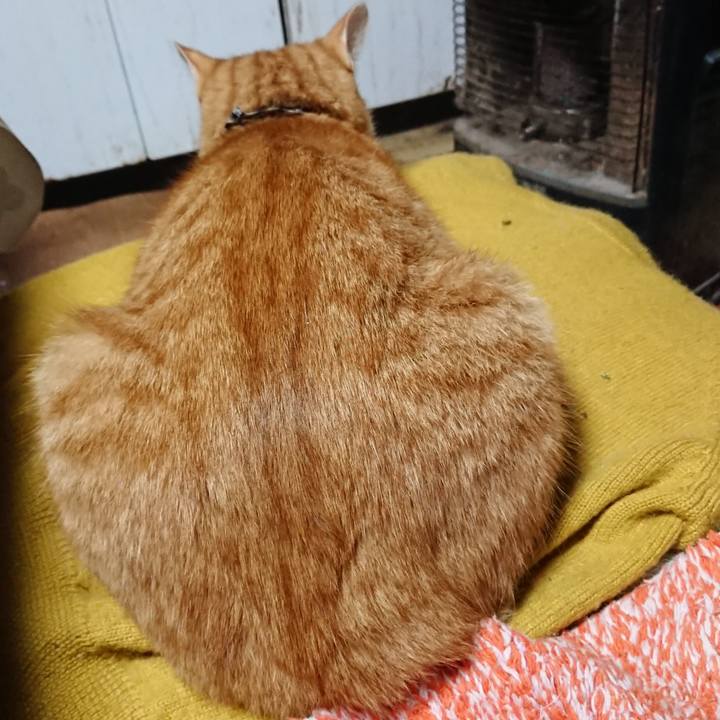 5a05d95c bdb7 41c2 8945 48781a882161 1571220566731