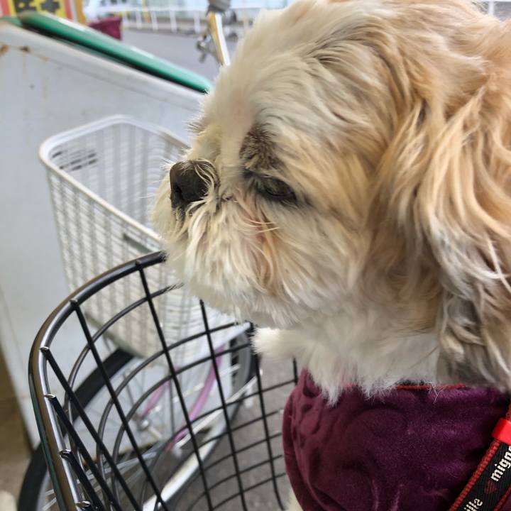 5a0601f0 172b 4479 a3ad 844e4f250017 1583876520670