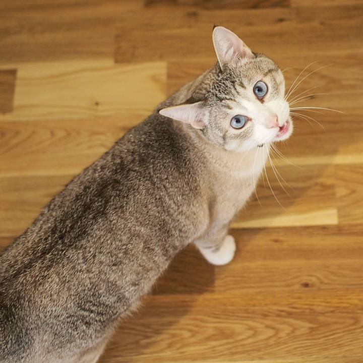 5a063a33 8bfc 4b26 848d 71d7e92071bb 1558240099927