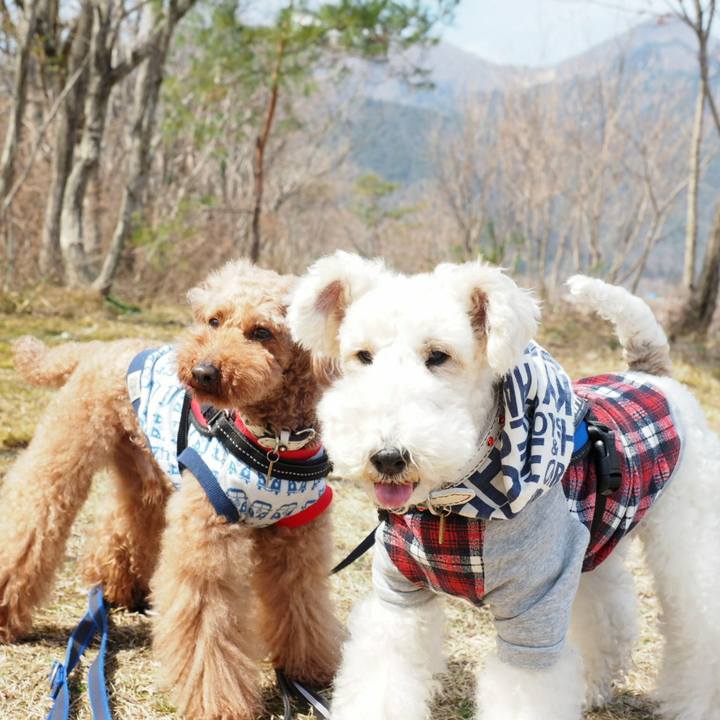 5a0644b4 9978 42b4 bb5d 2c5b8b28e60f 1521433633106