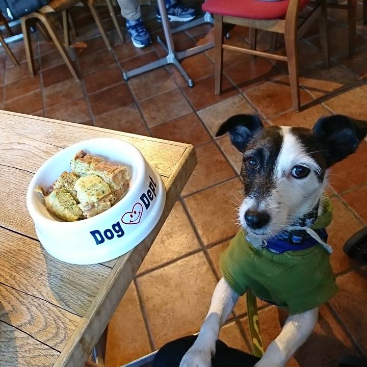 5a064686 be12 442e 895e e870e3eea7a7 1512534269708