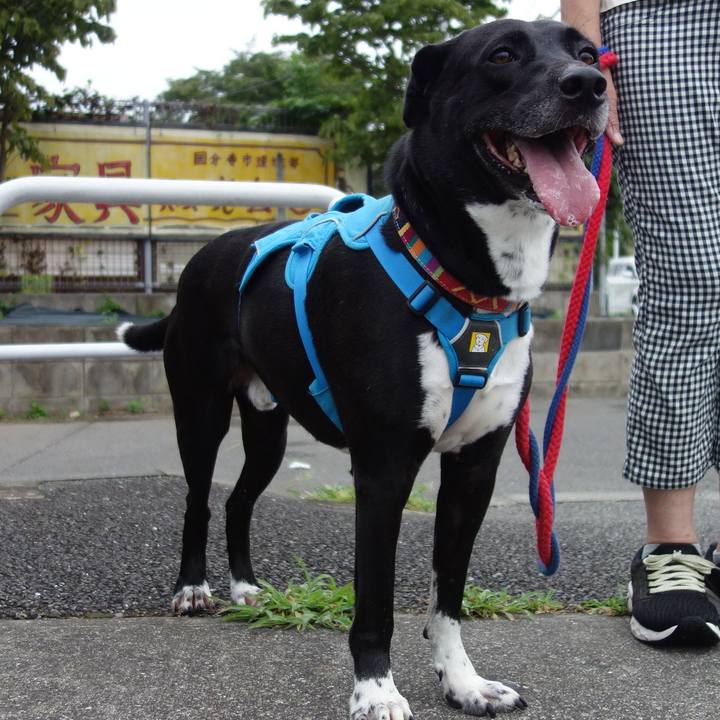 5a065eb7 36df 4145 9821 21b7fd6b9b18 1628727594319