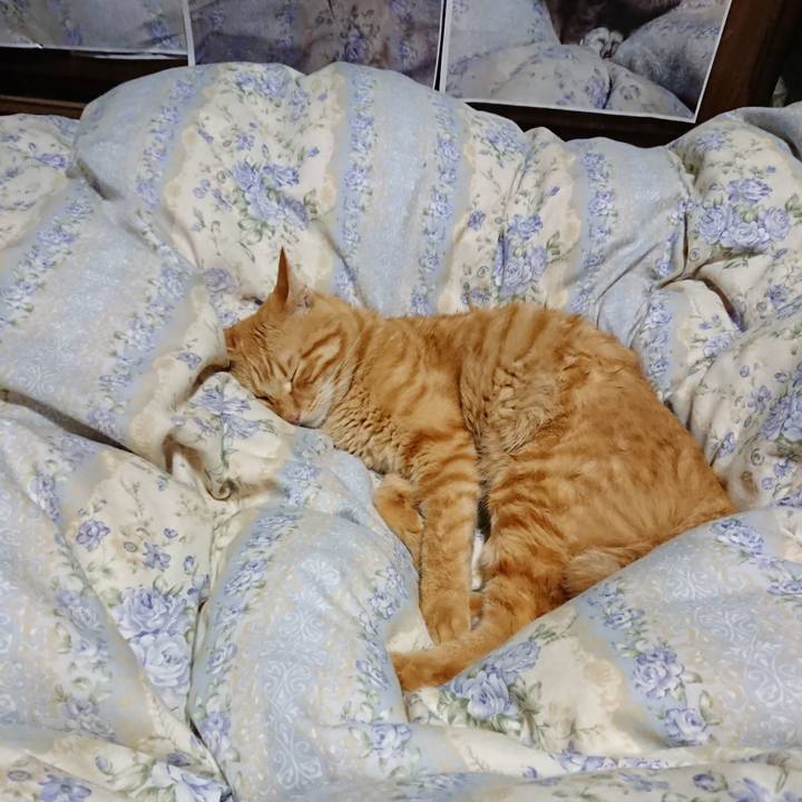 5a0679c2 1316 4bad b689 c43b3bce0265 1662207737218