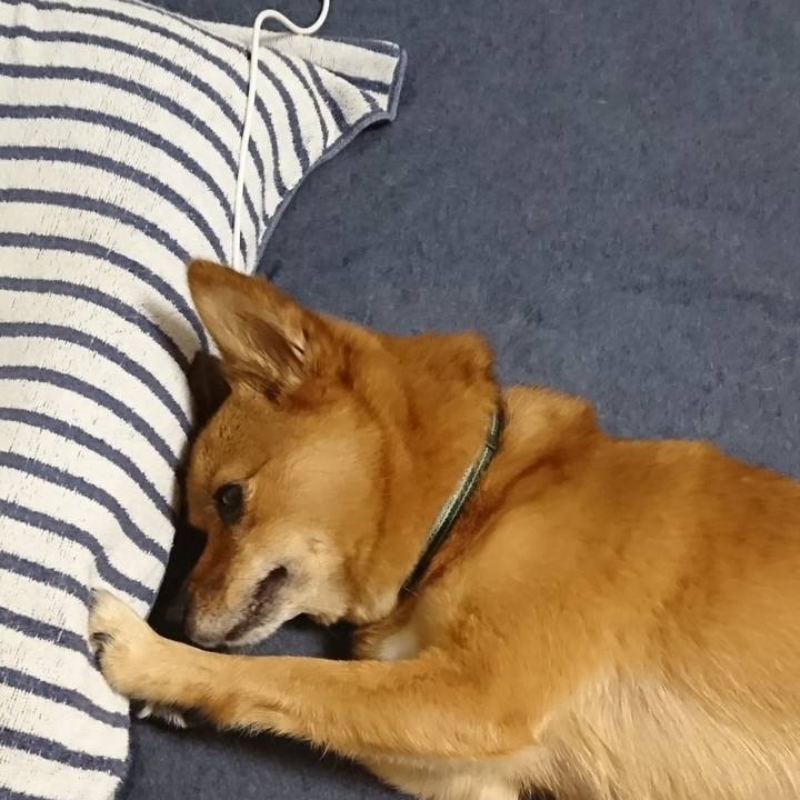 5a068d1a b73e 48a1 a233 6c694cd2c7d7 1538229467321